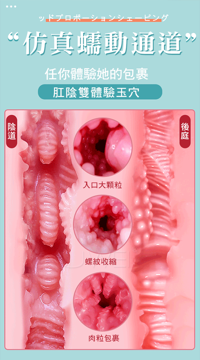 長澤美亞．半身帶腿任彎龍骨款 肛陰乳三交 窈窕身姿實體娃娃-9kg