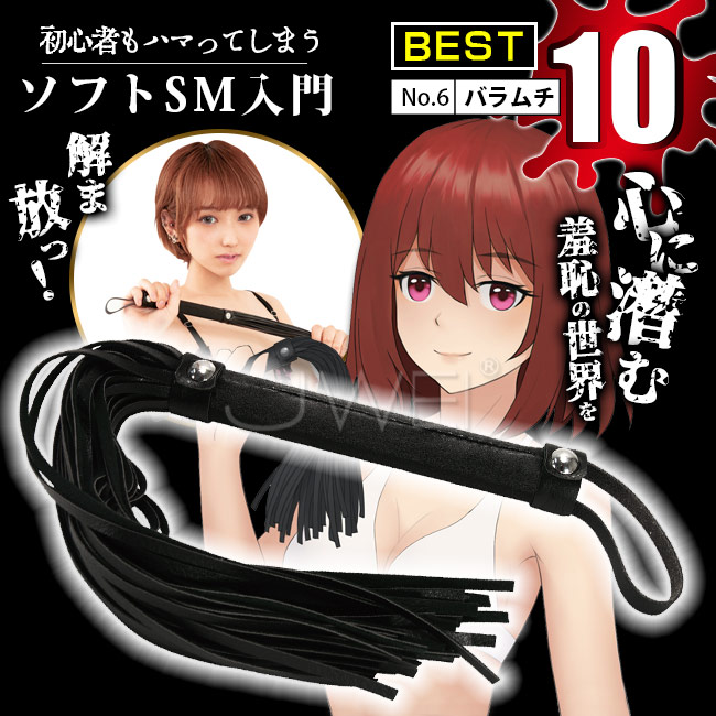 日本原裝進口NPG．初心者SM入門沉迷款BEST10-No.6 調情皮鞭