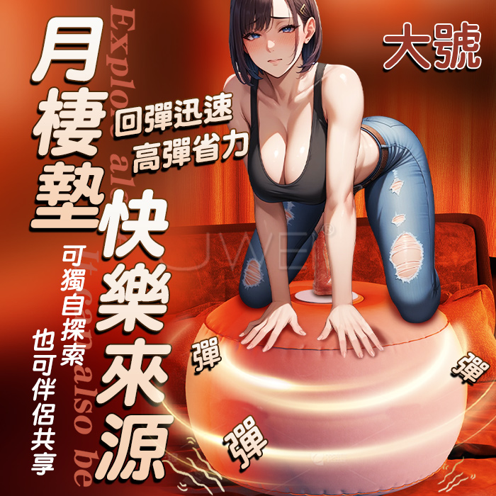 SM月棲體位墊．性愛墊 夫妻性愛輔助調教工具﹝大號﹞