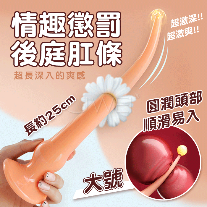 後庭肛條．情趣懲罰後庭深入肛條-大號 (長約25cm)